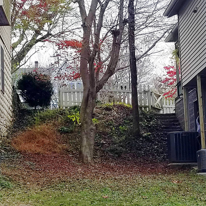 Retaining wall location before the work began.